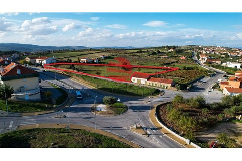 Terra a Meda, Guarda, Meda - € 95.000 | Ref: 379/MDA - foto 8