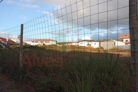 Terra a Folgosa, Porto, Folgosa - € 280.000 | Ref: 5588 - foto 3