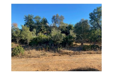 Helårsgrund i Quelfes, Faro, Quelfes - € 495.000 | Ref: A4924 - foto 11
