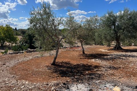 Landejendom i Cisternino, Brindisi, Cisternino - € 47.000 | Ref: 195 - foto 6