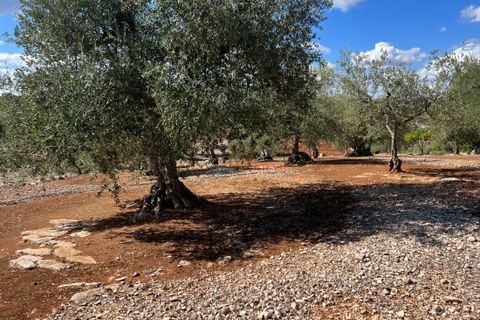 Landejendom i Cisternino, Brindisi, Cisternino - € 47.000 | Ref: 195 - foto 3