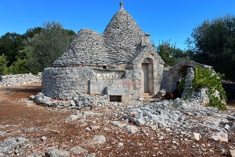 Landejendom i Cisternino, Brindisi, Cisternino - € 47.000 | Ref: 195 - foto 9