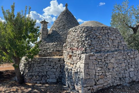 Landejendom i Cisternino, Brindisi, Cisternino - € 47.000 | Ref: 195 - foto 4