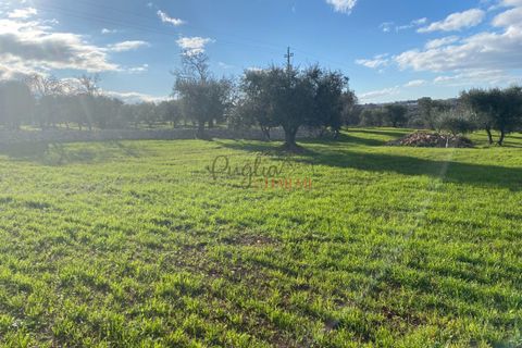 Landejendom i Ostuni, Brindisi, Ostuni - € 89.000 | Ref: 196 - foto 10