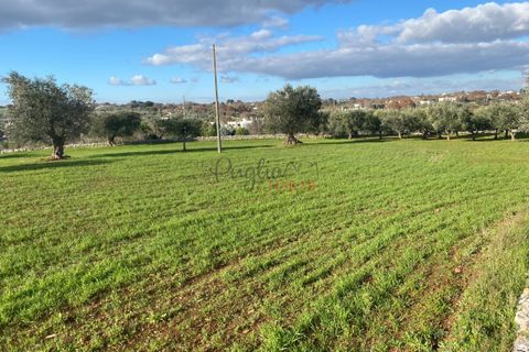 Landejendom i Ostuni, Brindisi, Ostuni - € 89.000 | Ref: 196 - foto 9