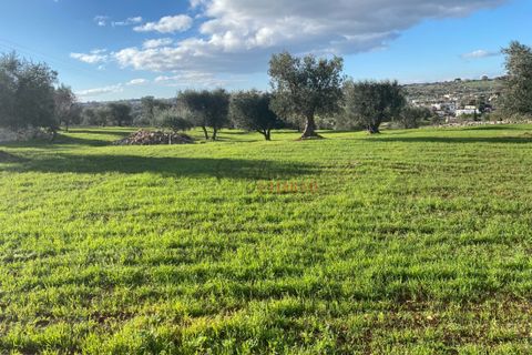 Landejendom i Ostuni, Brindisi, Ostuni - € 89.000 | Ref: 196 - foto 7