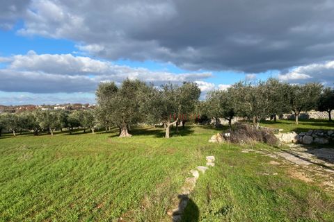 Landejendom i Ostuni, Brindisi, Ostuni - € 89.000 | Ref: 196 - foto 14