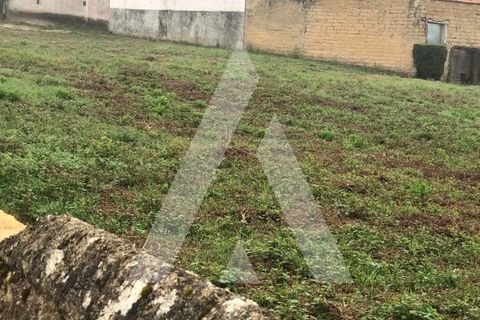 Helårsgrund i Anadia, Aveiro, Anadia - € 32.000 | Ref: 1050966/22 OB - foto 4