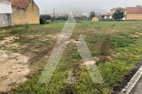 Helårsgrund i Anadia, Aveiro, Anadia - € 32.000 | Ref: 1050966/22 OB - foto 5