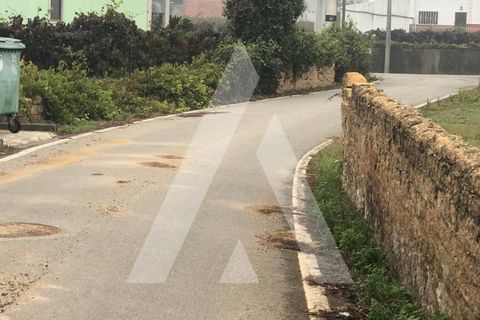 Helårsgrund i Anadia, Aveiro, Anadia - € 32.000 | Ref: 1050966/22 OB - foto 6