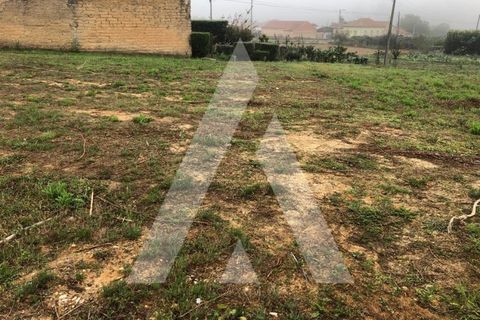 Helårsgrund i Anadia, Aveiro, Anadia - € 29.000 | Ref: 1050967/22 OB - foto 2