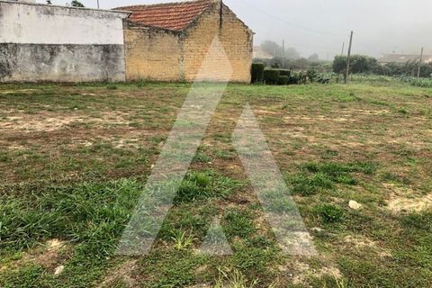Helårsgrund i Anadia, Aveiro, Anadia - € 29.000 | Ref: 1050967/22 OB - foto 3