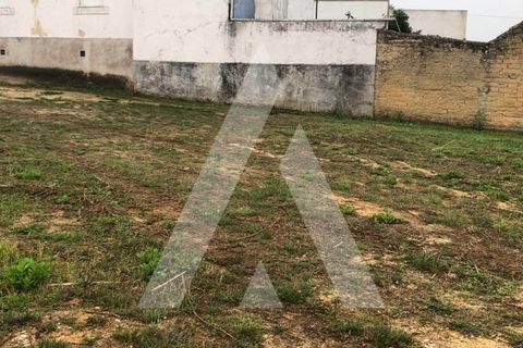 Helårsgrund i Anadia, Aveiro, Anadia - € 29.000 | Ref: 1050967/22 OB - foto 4