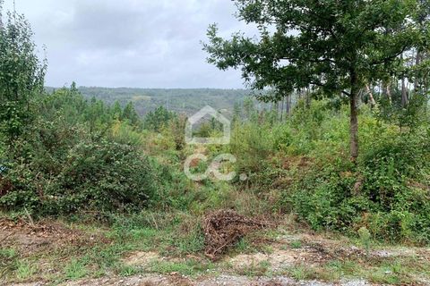 Terra em Calde, Viseu, Calde - € 35.000 | Ref: 353/T/02276 - foto 2