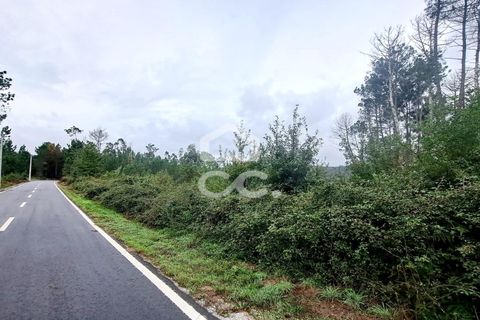 Terra em Calde, Viseu, Calde - € 35.000 | Ref: 353/T/02276 - foto 3