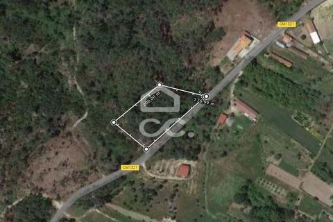 Terra em Calde, Viseu, Calde - € 35.000 | Ref: 353/T/02276 - foto 4