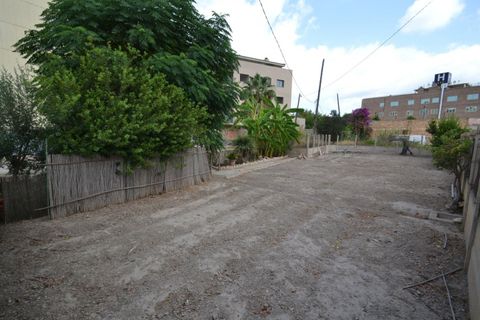 Helårsgrund i Deltebre, Tarragona, Deltebre - € 65.000 | Ref: FZD55/6931 - foto 5