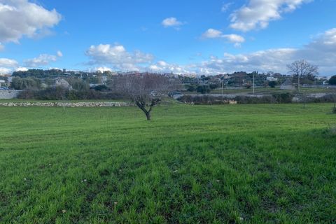 Landejendom i Cisternino, Brindisi, Cisternino - € 89.000 | Ref: 197 - foto 6