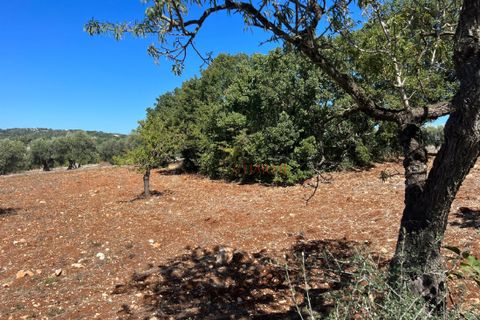 Helårsgrund i Ostuni, Brindisi, Ostuni - € 80.000 | Ref: 199 - foto 1