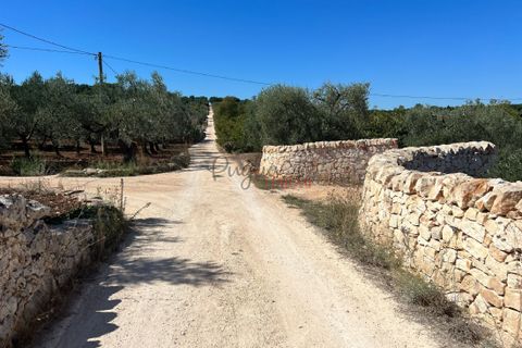 Helårsgrund i Ostuni, Brindisi, Ostuni - € 80.000 | Ref: 199 - foto 3