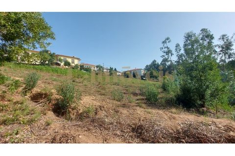 Helårsgrund i Amarante, Porto, Amarante - € 65.000 | Ref: L5-0279/22 - foto 1