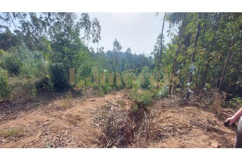 Helårsgrund i Amarante, Porto, Amarante - € 65.000 | Ref: L5-0279/22 - foto 2