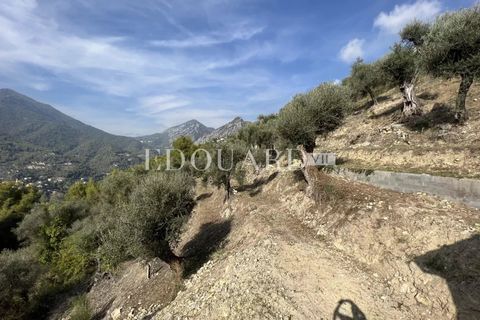 Landejendom i Castellar, Alpes-Maritimes, Castellar - € 950.000 | Ref: 7531222 - foto 24