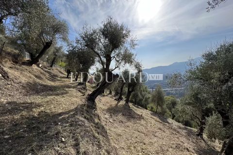 Landejendom i Castellar, Alpes-Maritimes, Castellar - € 950.000 | Ref: 7531222 - foto 25