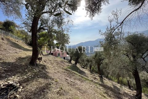 Landejendom i Castellar, Alpes-Maritimes, Castellar - € 950.000 | Ref: 7531222 - foto 26