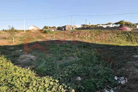 Helårsgrund i Paredes, Porto, Paredes - € 75.000 | Ref: TER_952 - foto 3
