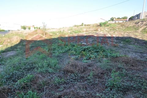 Helårsgrund i Paredes, Porto, Paredes - € 75.000 | Ref: TER_952 - foto 4