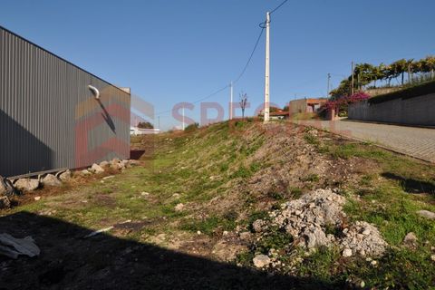 Helårsgrund i Paredes, Porto, Paredes - € 75.000 | Ref: TER_952 - foto 6