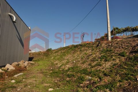 Helårsgrund i Paredes, Porto, Paredes - € 75.000 | Ref: TER_952 - foto 9
