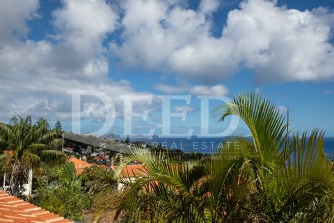 Villa i Machico, Madeira, Machico - € 790.000 | Ref: DEED/595 - foto 26