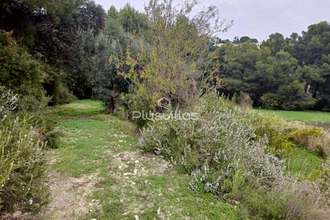 Helårsgrund i Benissa, Alicante, Benissa - € 195.000 | Ref: P208 - foto 16