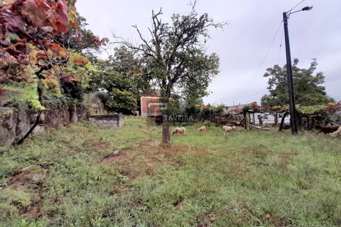 Helårsgrund i Arcos de Valdevez, Viana do Castelo, Arcos de Valdevez - € 20.000 | Ref: 2246 - foto 2