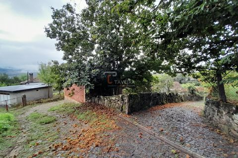 Helårsgrund i Arcos de Valdevez, Viana do Castelo, Arcos de Valdevez - € 20.000 | Ref: 2246 - foto 4
