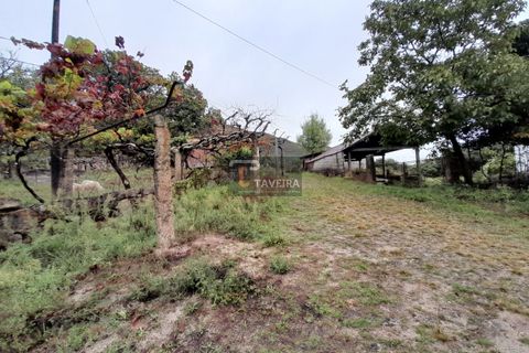 Helårsgrund i Arcos de Valdevez, Viana do Castelo, Arcos de Valdevez - € 20.000 | Ref: 2246 - foto 5