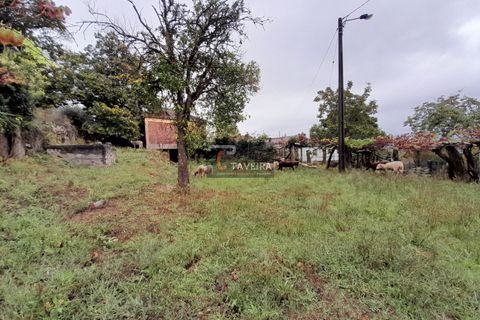 Helårsgrund i Arcos de Valdevez, Viana do Castelo, Arcos de Valdevez - € 20.000 | Ref: 2246 - foto 6