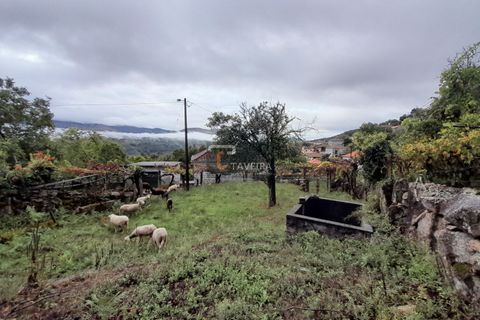 Helårsgrund i Arcos de Valdevez, Viana do Castelo, Arcos de Valdevez - € 20.000 | Ref: 2246 - foto 7