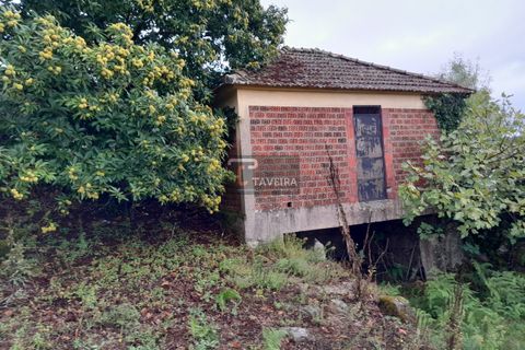 Helårsgrund i Arcos de Valdevez, Viana do Castelo, Arcos de Valdevez - € 20.000 | Ref: 2246 - foto 8