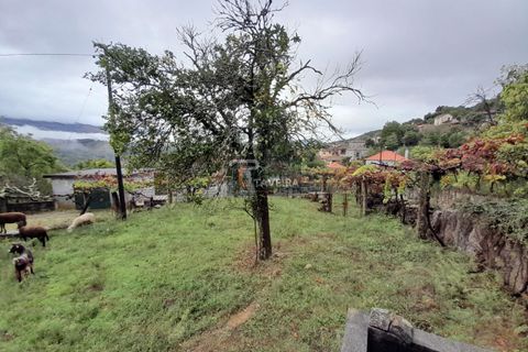 Helårsgrund i Arcos de Valdevez, Viana do Castelo, Arcos de Valdevez - € 20.000 | Ref: 2246 - foto 10