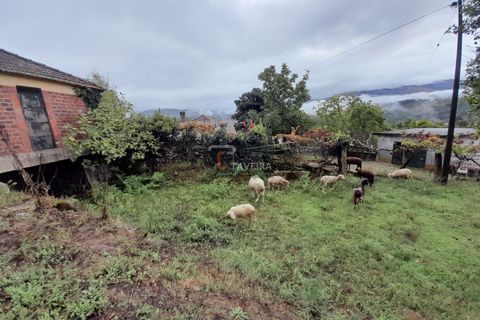 Helårsgrund i Arcos de Valdevez, Viana do Castelo, Arcos de Valdevez - € 20.000 | Ref: 2246 - foto 11