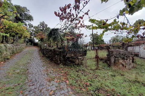 Helårsgrund i Arcos de Valdevez, Viana do Castelo, Arcos de Valdevez - € 20.000 | Ref: 2246 - foto 1