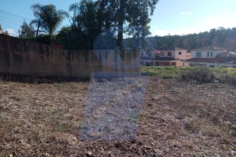 Helårsgrund i Agueda, Aveiro, Agueda - € 21.500 | Ref: TER_862 - foto 2
