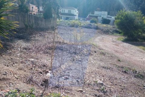 Helårsgrund i Agueda, Aveiro, Agueda - € 21.500 | Ref: TER_862 - foto 3