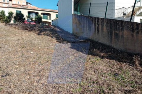 Helårsgrund i Agueda, Aveiro, Agueda - € 21.500 | Ref: TER_862 - foto 5
