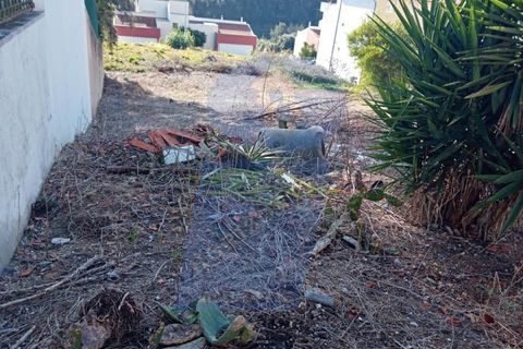 Helårsgrund i Agueda, Aveiro, Agueda - € 21.500 | Ref: TER_862 - foto 6