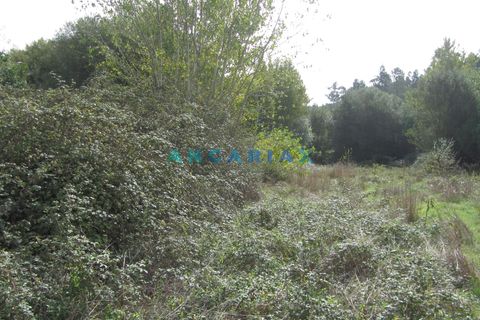 Helårsgrund i Pombal, Leiria, Pombal - € 10.000 | Ref: ANG593 - foto 3