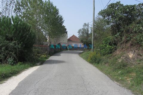 Helårsgrund i Pombal, Leiria, Pombal - € 10.000 | Ref: ANG593 - foto 2